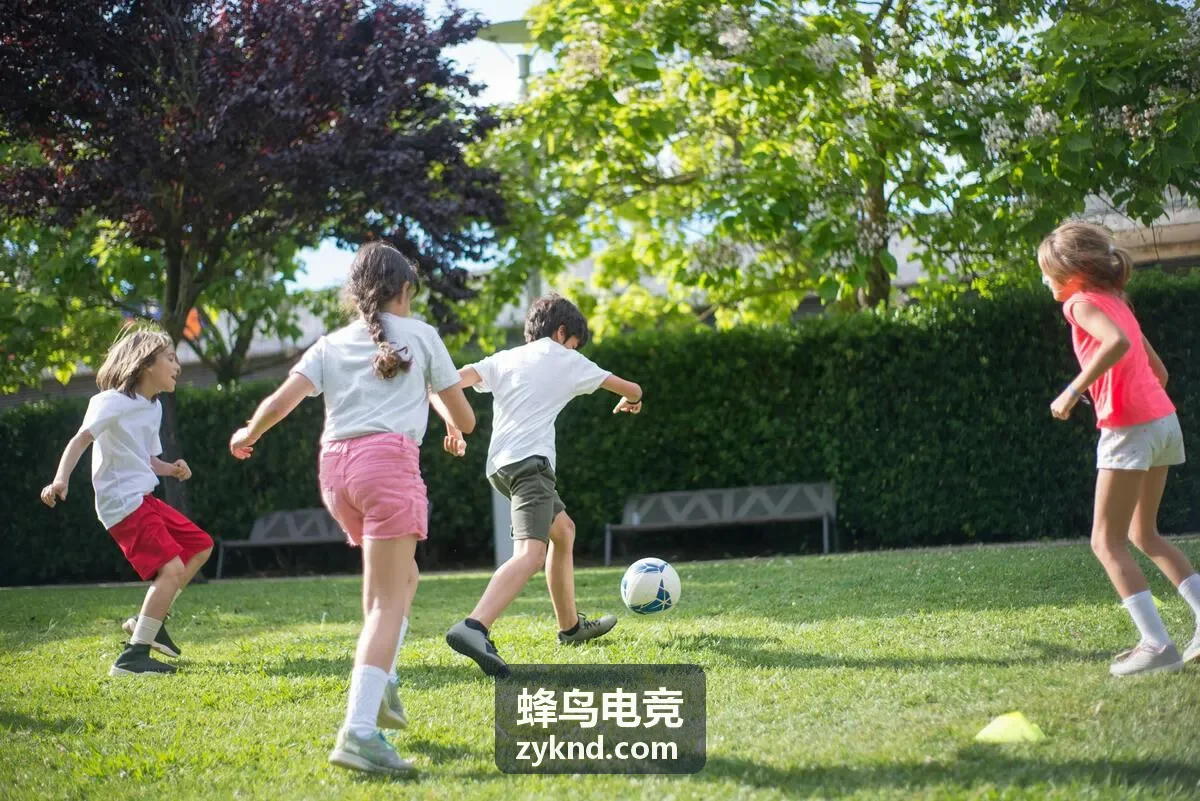蜂鸟电竞赛事运营